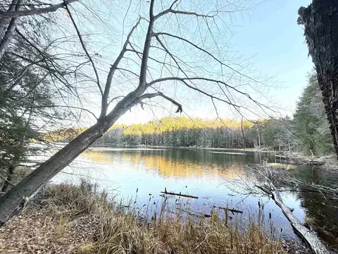 17284 Little Archie Ln, Townsend, WI 54175