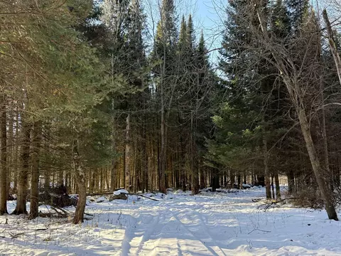 Kastner Road, Tigerton, WI 54486
