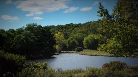 w16393 Crane Lake Lane, Athelstane, WI 54104