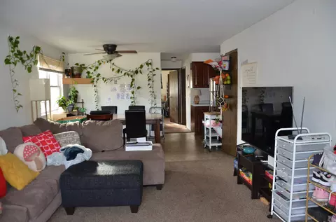809 W Browning St, Appleton, WI 54914 photo 21