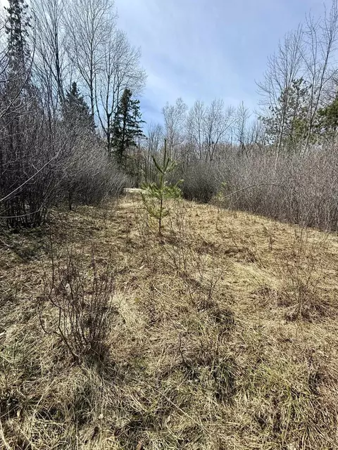 Krause Road, Peshtigo, WI 54157