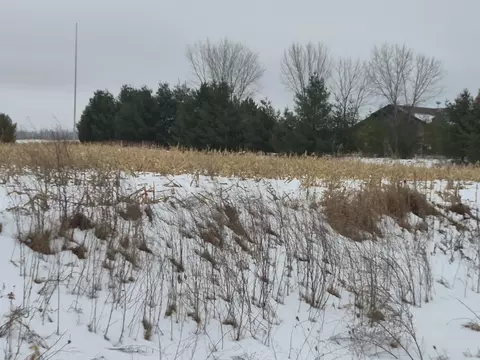 County Road Ee, Abrams, WI 54101 photo 5