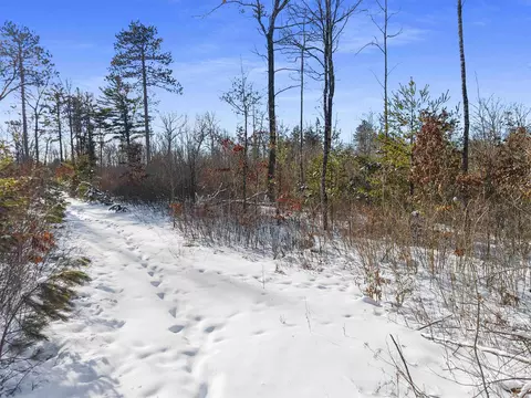 Meadowbrook Lane, Athelstane, WI 54104