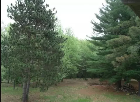 n2719 Ona Pines Road #10, Weyauwega, WI 54883