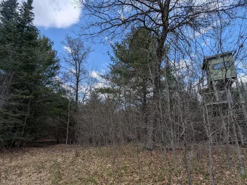 fisher road, Wausaukee, WI 54177