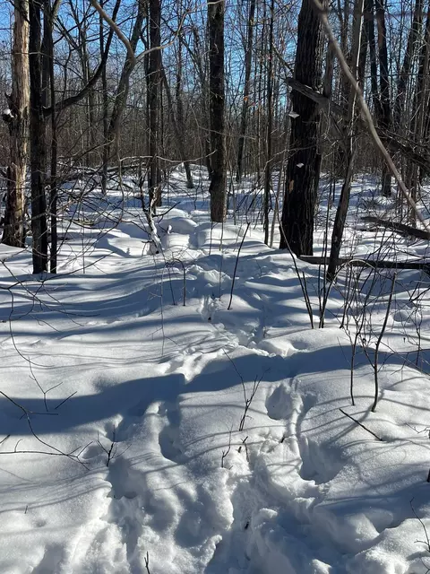 Reppert Road, Exeland, WI 54835