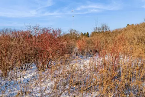 n5571 Mapleview Lane, Hilbert, WI 54129 photo 6