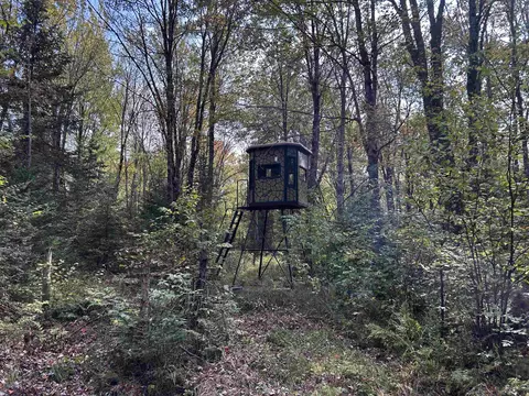w13821 Lloyd Creek Road, Gleason, WI 54435