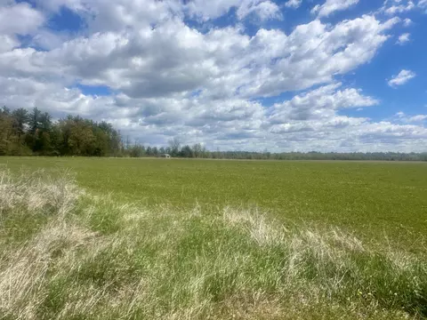 Alp Drive, Pine River, WI 54965