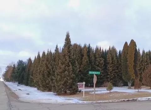 greenfield drive, New London, WI 54961