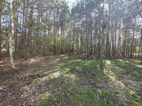 alpine drive, Wautoma, WI 54982