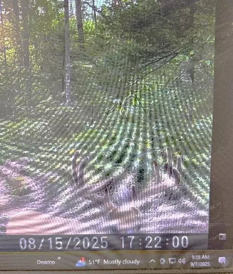 Co Rd 356, Daggett, MI 49821