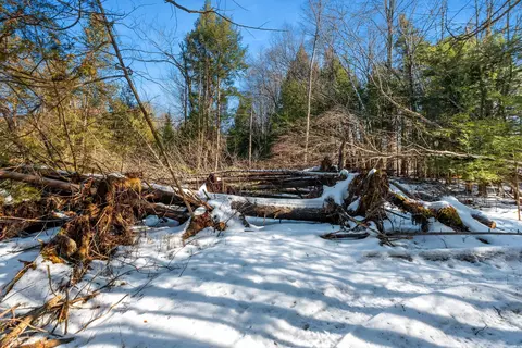 Exterior - 8046 County Road R, Suring, WI 54174 photo 10 of 18