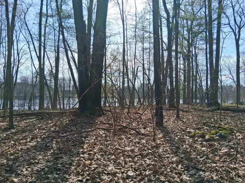 Twin Pine Lane, Porterfield, WI 54159