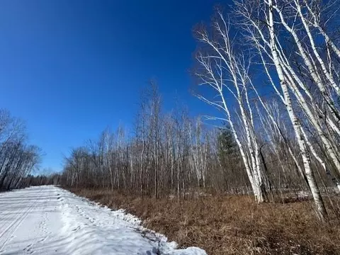 Pioneer Drive, Abrams, WI 54101 photo 17