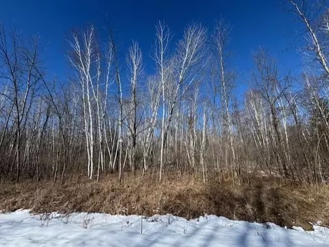 Pioneer Drive, Abrams, WI 54101 photo 21