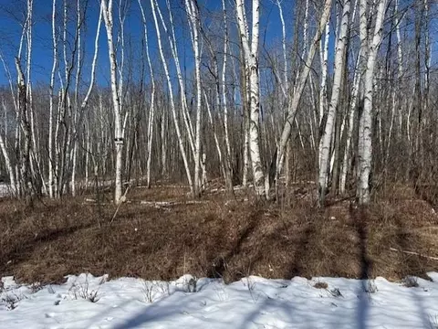 Pioneer Drive, Abrams, WI 54101 photo 25
