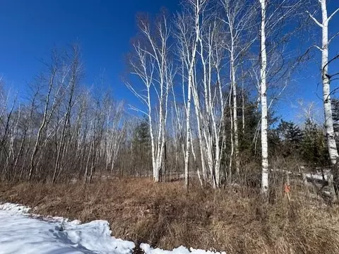 Pioneer Drive, Abrams, WI 54101 photo 20