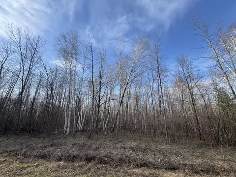 Pioneer Drive, Abrams, WI 54101 photo 4