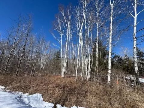 Pioneer Drive, Abrams, WI 54101 photo 18