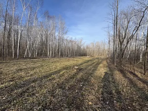 Pioneer Drive, Abrams, WI 54101 photo 3