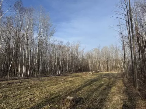 Pioneer Drive, Abrams, WI 54101
