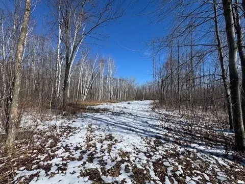 Pioneer Drive, Abrams, WI 54101 photo 12