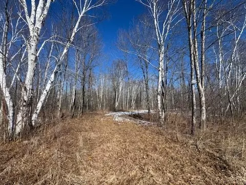 Pioneer Drive, Abrams, WI 54101 photo 27