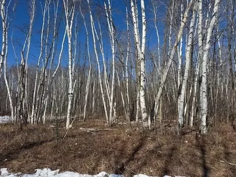 Pioneer Drive, Abrams, WI 54101 photo 13