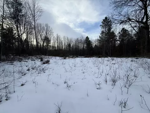 W1561 Hawks Nest Trail #62, Keshena, WI 54135