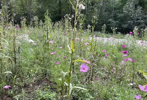 evergreen drive, Wautoma, WI 54982