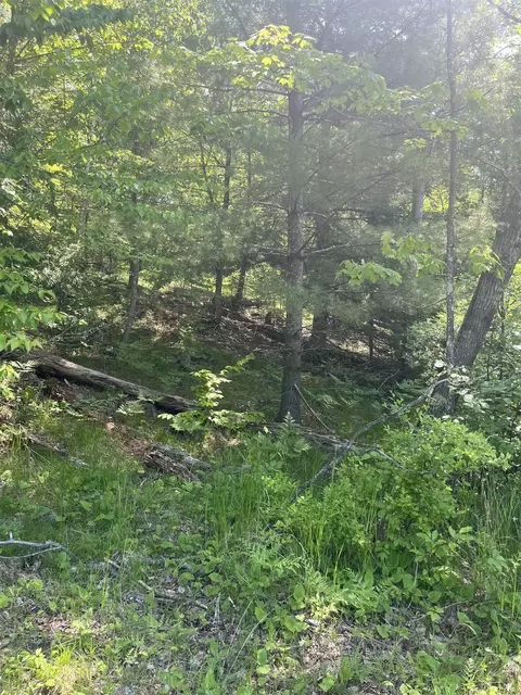 Lake John Road, Lakewood, WI 54138
