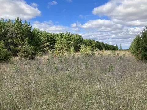 N Beach Street, Plainfield, WI 54966