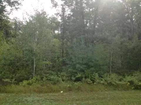 Deer Haven Court, Peshtigo, WI 54157