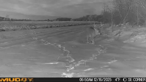 30 Th Rd, Pine River, WI 54965 photo 6