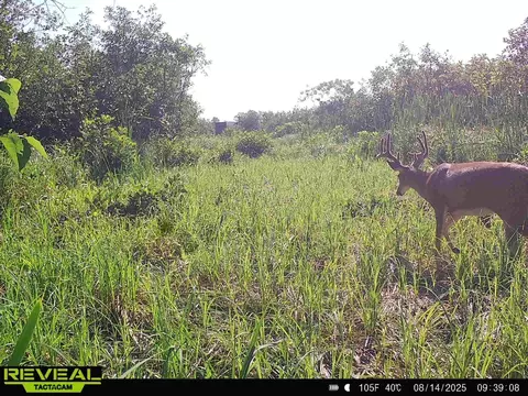 30 Th Rd, Pine River, WI 54965 photo 8