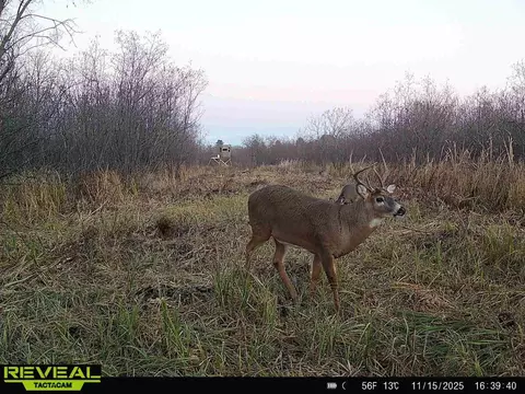 30 Th Rd, Pine River, WI 54965 photo 7