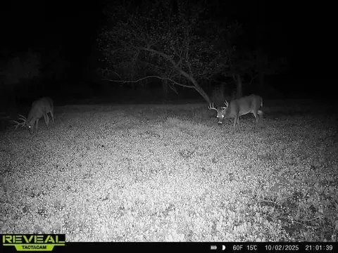 30 Th Rd, Pine River, WI 54965 photo 3