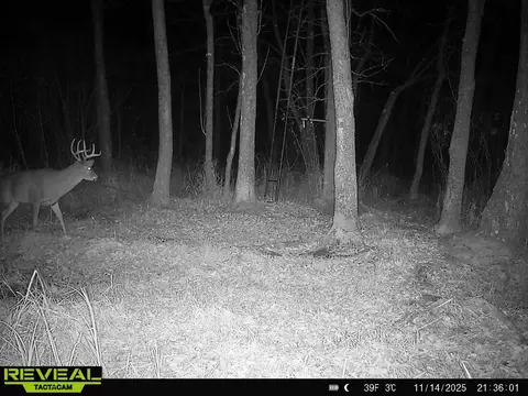 30 Th Rd, Pine River, WI 54965 photo 5