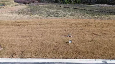1624 N Torchwood Trl #59, De Pere, WI 54115