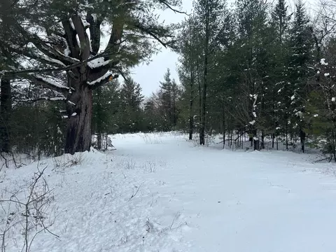 606 E Brook St, Suring, WI 54174