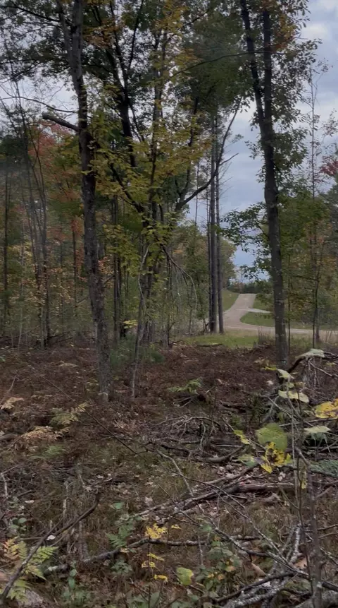 lot10 Rhett Ln #10, Wausaukee, WI 54177