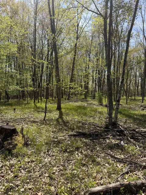 lot8 Rhett Ln #8, Wausaukee, WI 54177