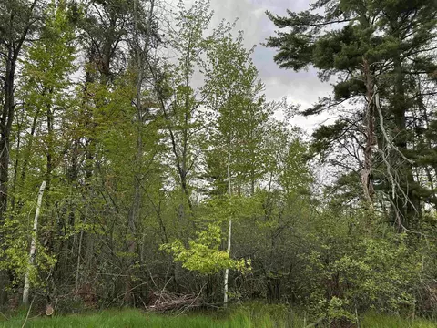 Mcgraw Street, Peshtigo, WI 54157