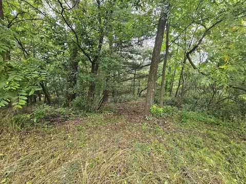 high road, Wild Rose, WI 54984