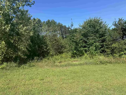 lake drive, Gresham, WI 54128 photo 2