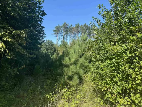 lake drive, Gresham, WI 54128 photo 3