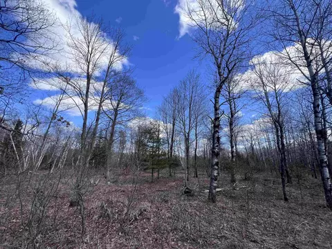nejedlo road, Wausaukee, WI 54177