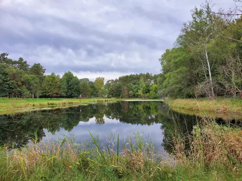 1000 County Road Qq, Waupaca, WI 54981
