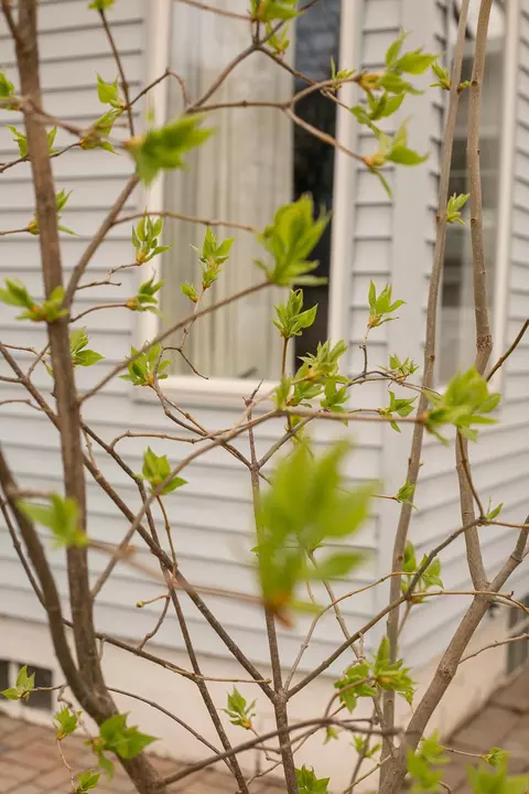 Exterior - 401 Gardners Row, Appleton, WI 54915 photo 9 of 9